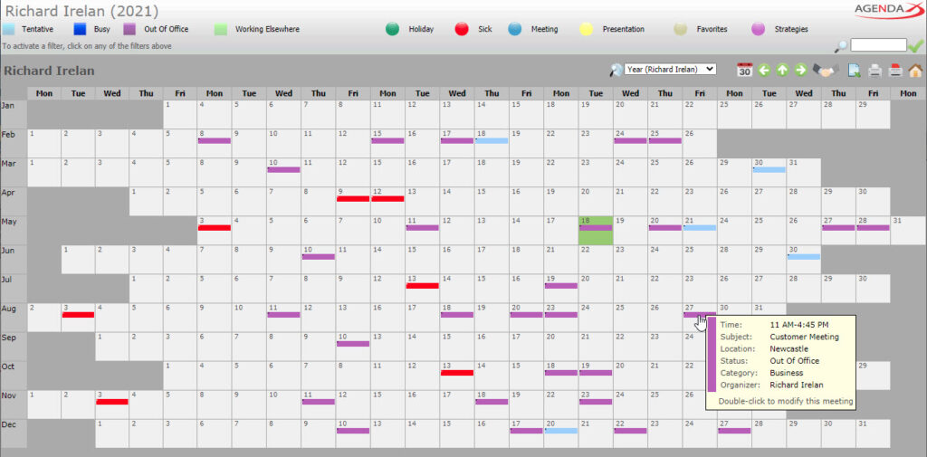 AgendaX group calendar user specific view showing the yearly schedule of a single employee. Meetings are represented by colored blocks. Meeting details are shown when hovering over the blocks. Days of a month are arranged horizontally while months show vertically.
